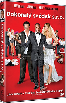 Dokonalý svědek s.r.o.