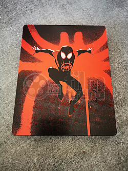 SPIDER-MAN: PARALELNÍ SVĚTY SONY PICTURES ANIMATION Version #3 3D + 2D Steelbook™ Limitovaná sběratelská edice + DÁREK fólie na SteelBook™
